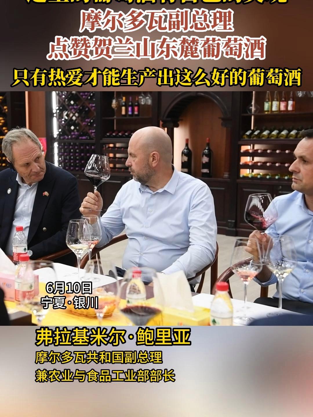 “这里的葡萄酒有自己的灵魂”!摩尔多瓦副总理点赞贺兰山东麓葡萄酒 宁夏 中国葡萄酒当惊世界