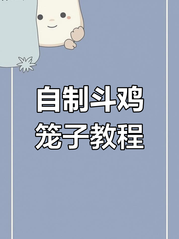 斗鸡笼子制作大揭秘,防感冒又安全