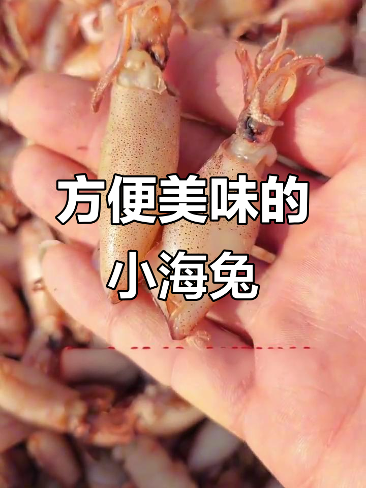 小海兔乌贼干:营养丰富,做法多样