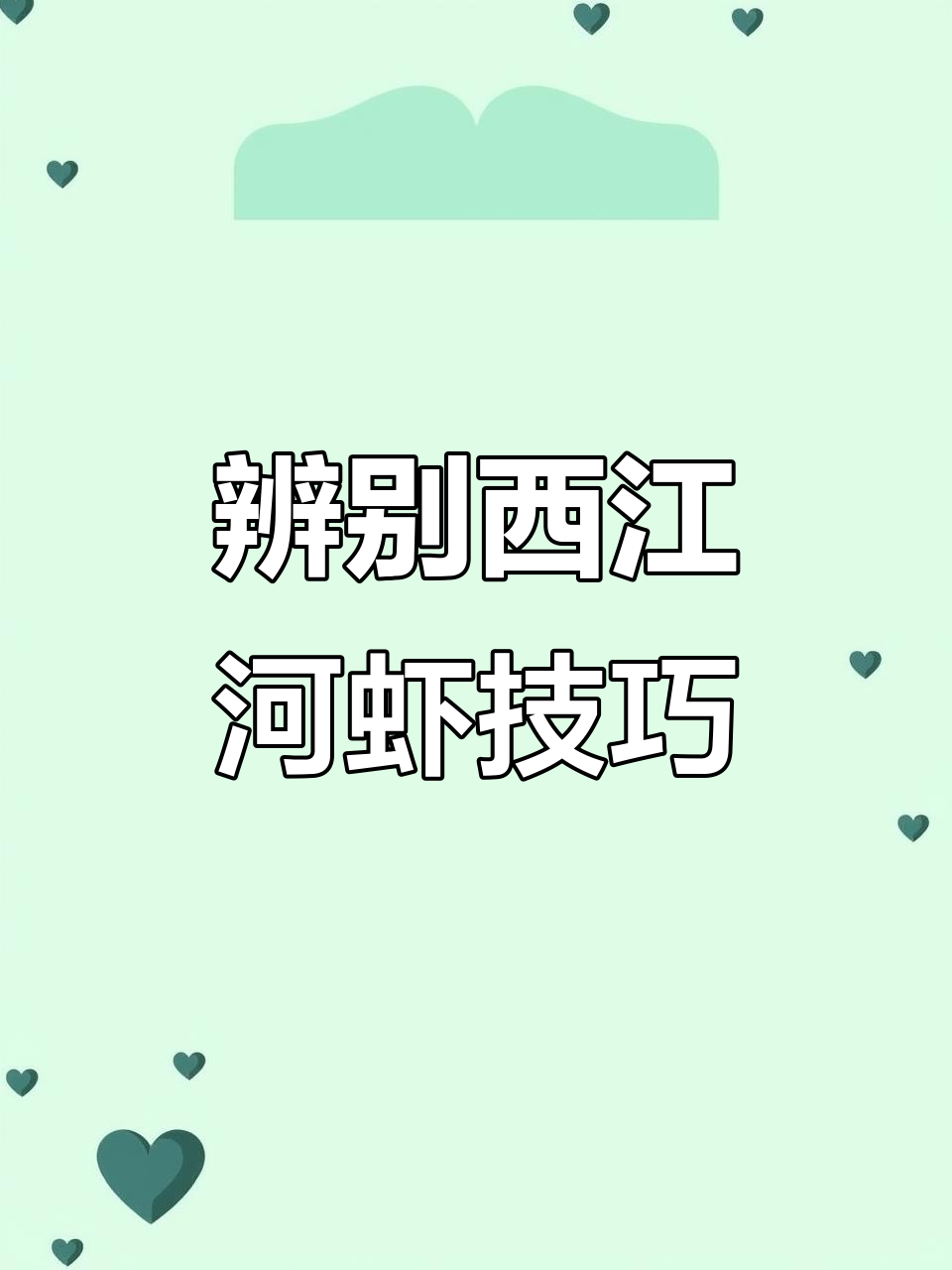 西江河虾与塘养河虾大揭秘,如何分辨正宗美味