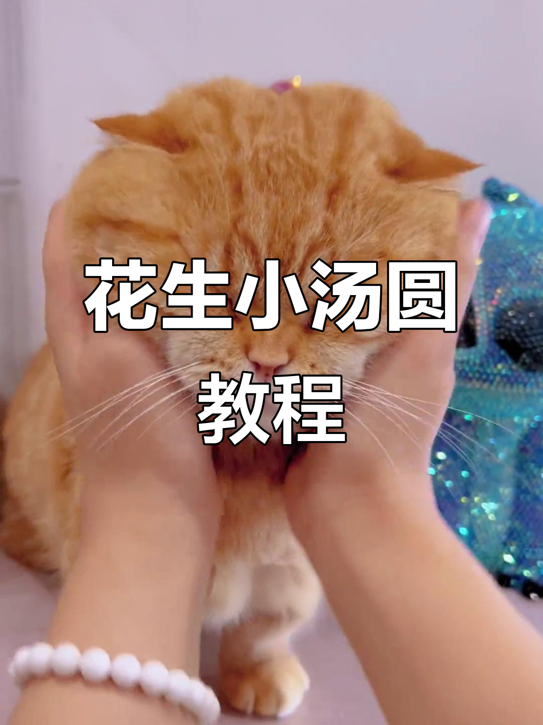花生馅猫猫头汤圆制作大揭秘,糯米粉竟能变“猫砂”?