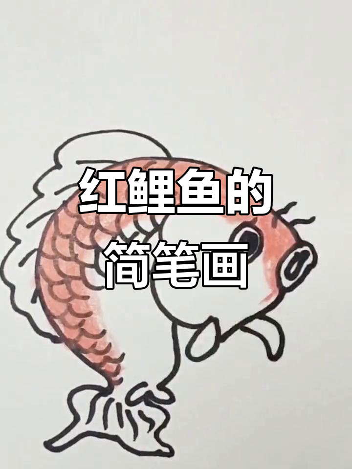 画荷帮红鲤鱼,简单步骤教你轻松搞定