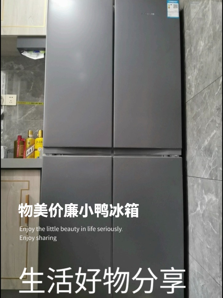 物美价廉小鸭冰箱(二)