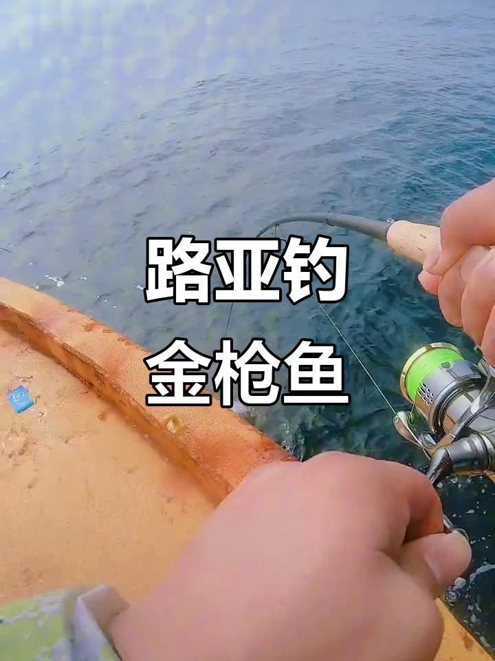 淡水路亚挑战深海金枪鱼,刺激程度堪比极限操作