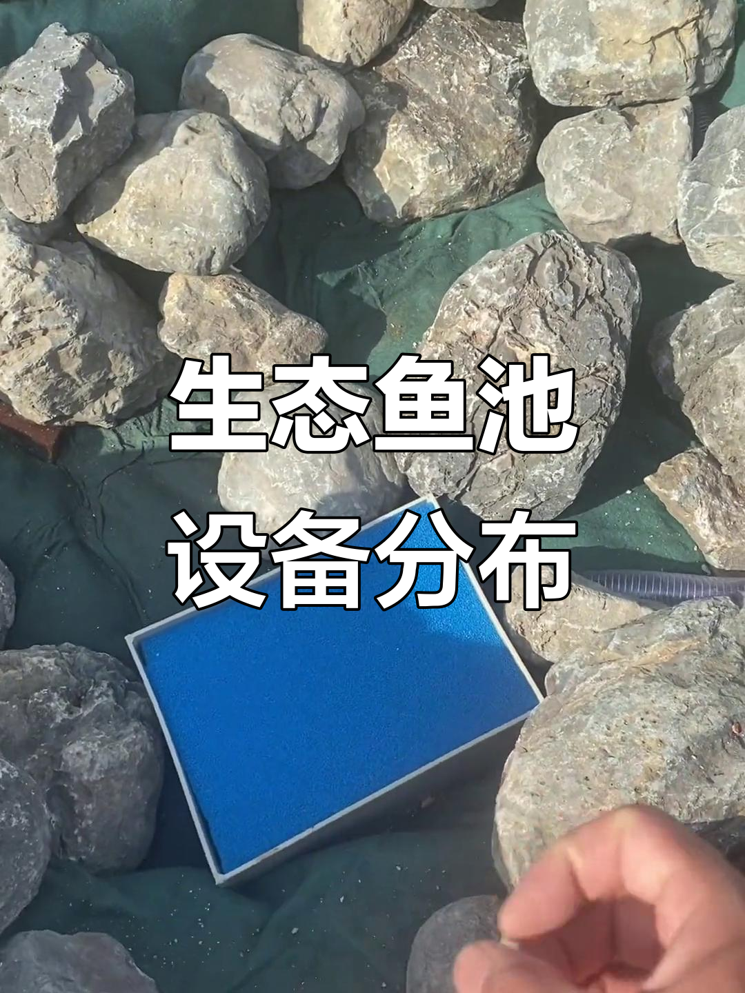 生态鱼池设备揭秘:从底吸仓到过滤系统的全解析