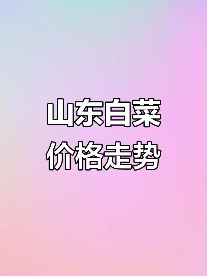 5月山东白菜行情大揭秘,散装菜市场热销