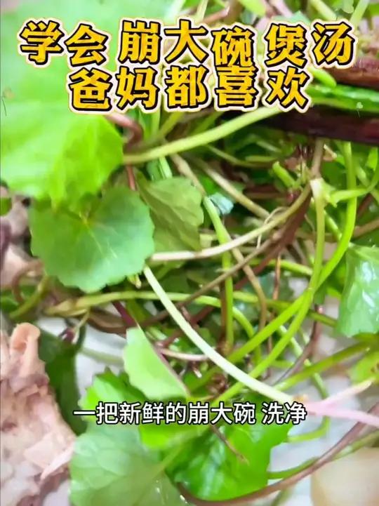 实用干货!崩大碗煲汤配料大分享