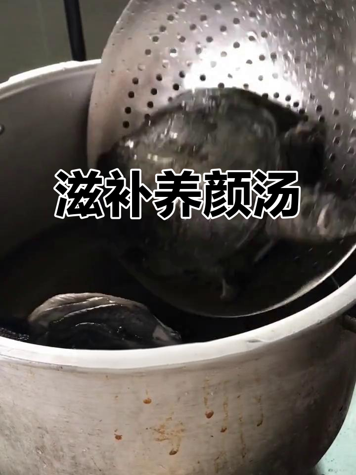 甲鱼乌鸡炖汤,滋补养生,搭配多种药材