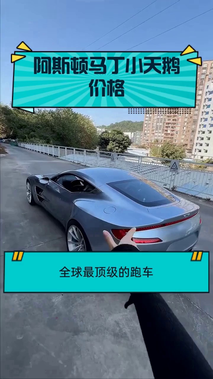 阿斯顿马丁小天鹅价格