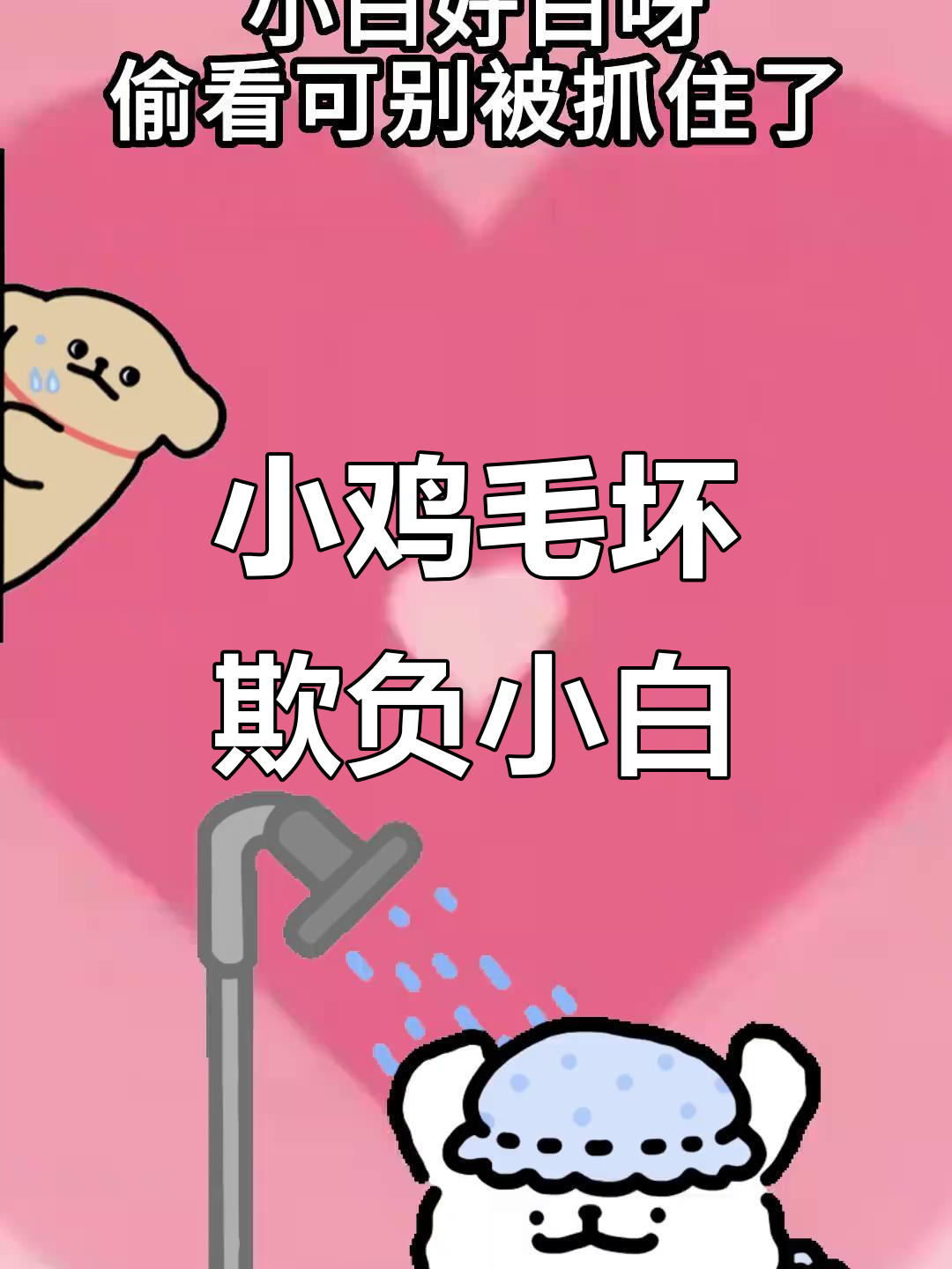 小鸡毛欺负小白,表情包大作战