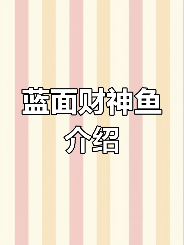 蓝面财神鱼:非洲稀有观赏品种