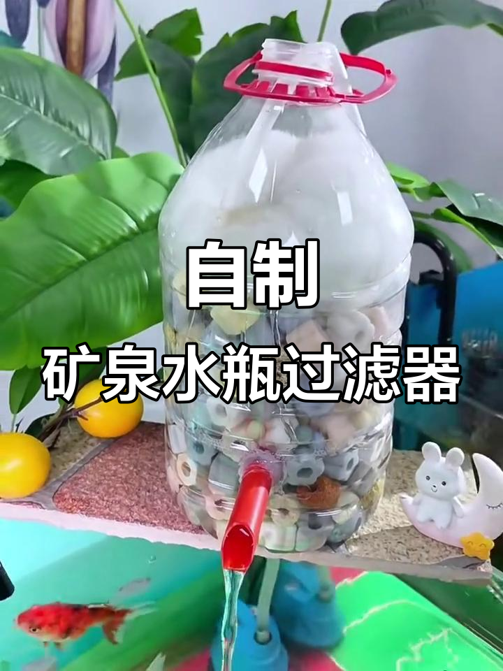矿泉水桶DIY过滤系统，简单步骤打造高效鱼缸水质净化