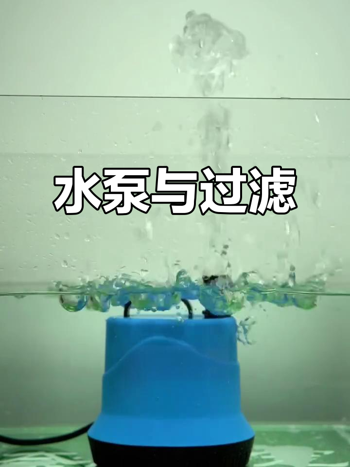 鱼缸水泵与过滤系统,保持水质清澈的关键