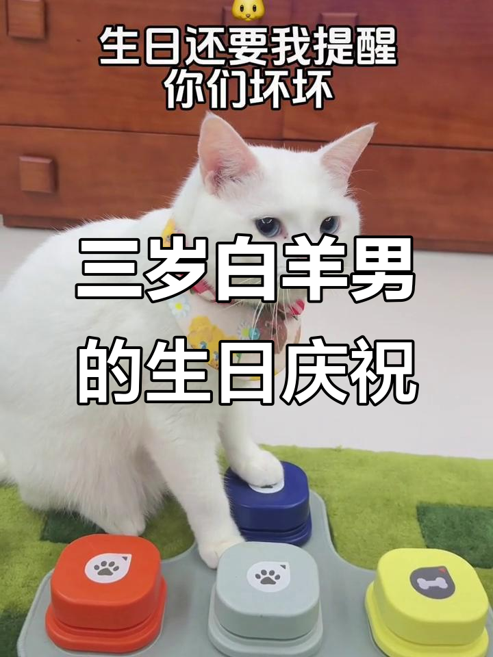 白羊男三岁生日快乐,蛋糕和祝福一起送到!
