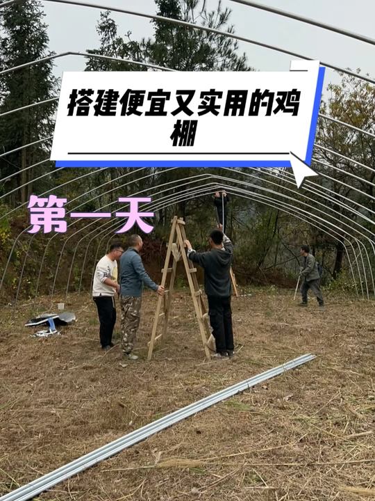 养鸡人分享实用鸡棚搭建第一天的过程