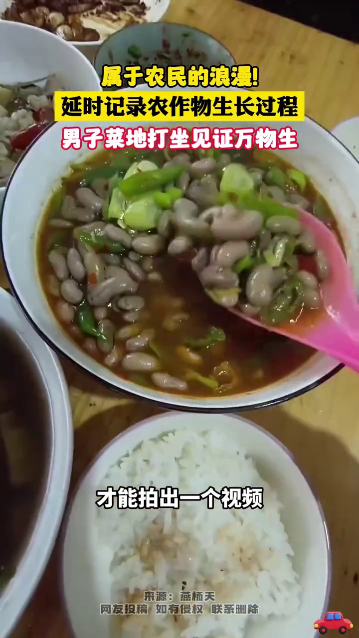 菜地打坐,见证万物生长!男子用延时摄影记录蔬菜生长过程