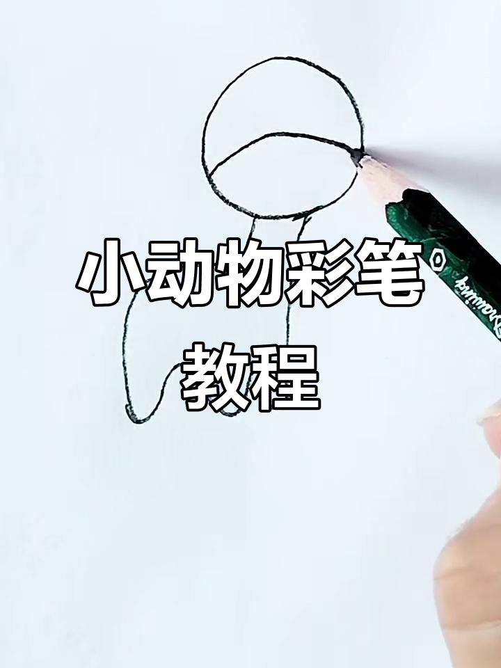 彩色卡通小动物简笔画,轻松学会画可爱斑纹