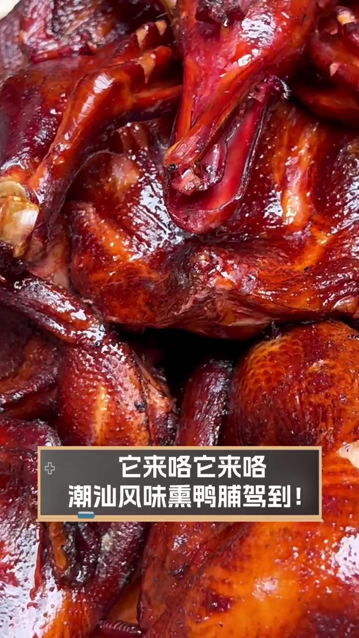 它来咯它来咯,潮汕风味熏鸭脯驾到!