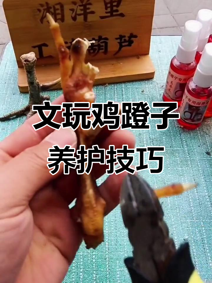 襄阳里文玩鸡蹬子保养秘籍,高渗透油让包浆更均匀