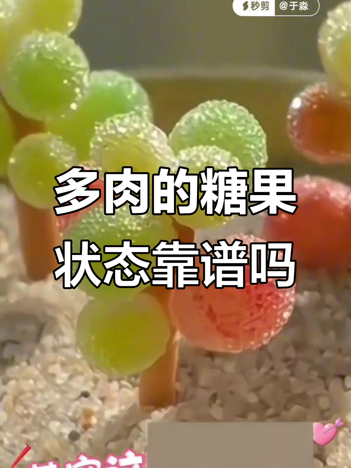 像糖果一样的多肉，真的是假的吗？揭秘糖球枝干翻性真相