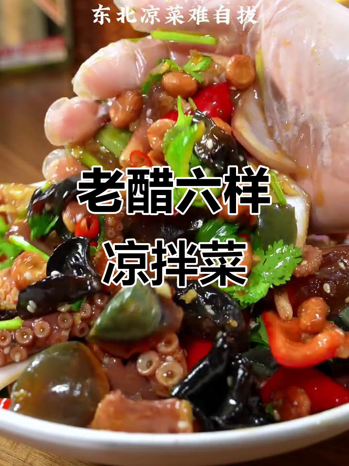 东北老醋六样凉拌菜,酸爽开胃,下酒必备!