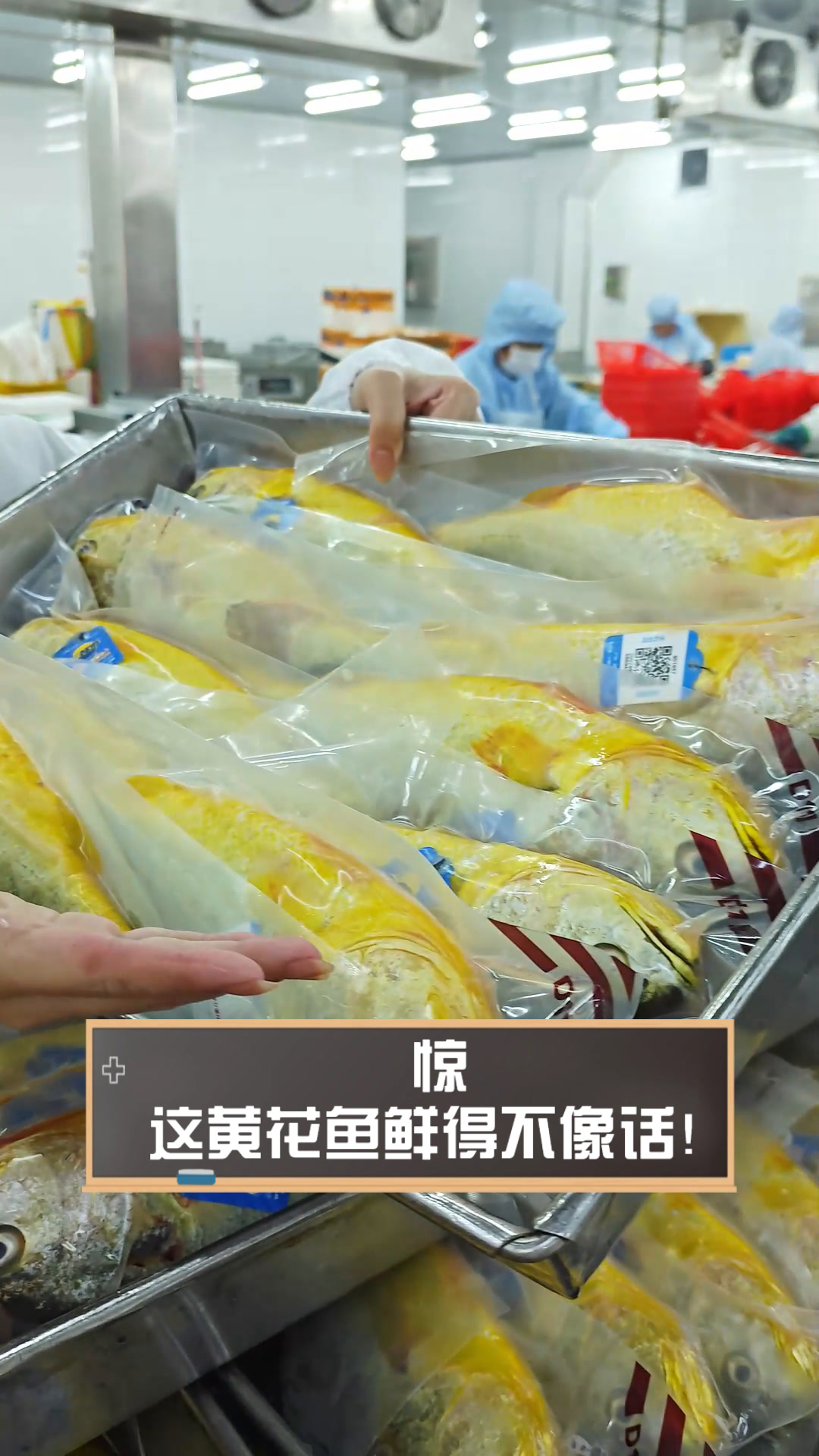 惊,这黄花鱼鲜得不像话!