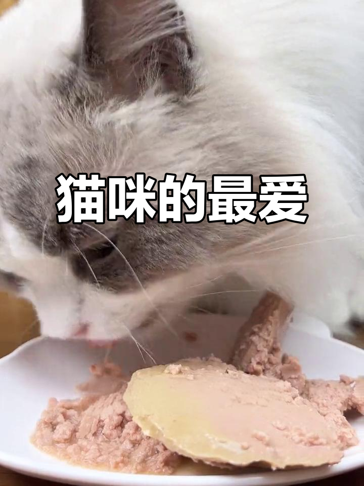 肉香四溢,猫咪最爱!整鸡与鲭鱼牛肉猫饭双重诱惑