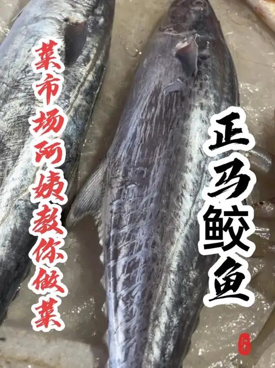 同学们，哪种马鲛鱼最好吃呢？我这一斤25贵不贵？