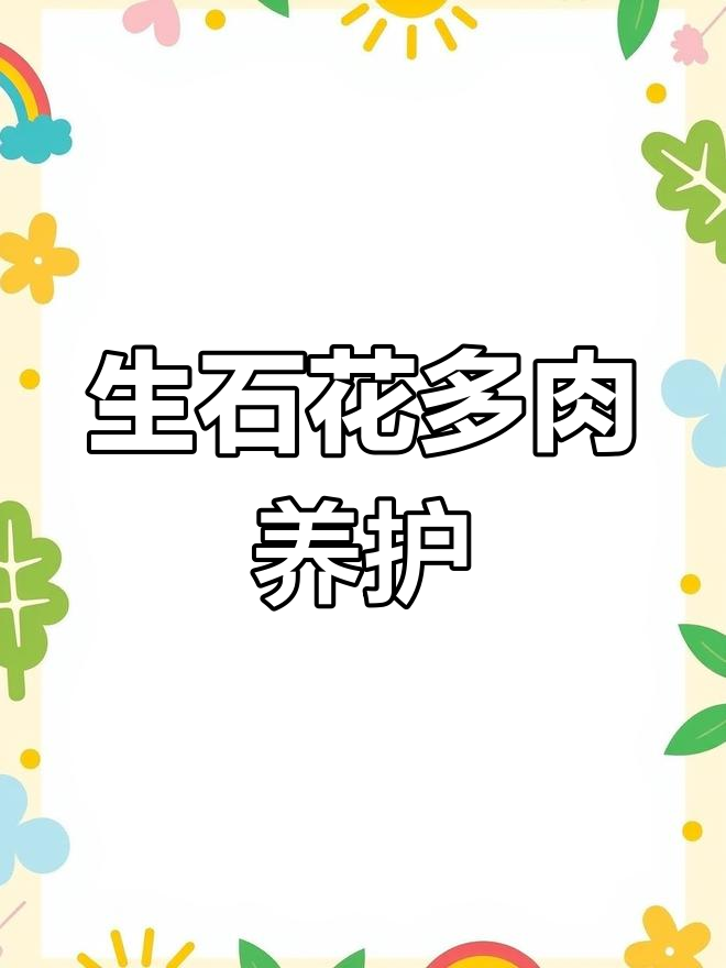 多肉植物养护技巧,生石花如何照顾?