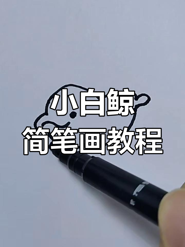 轻松画出可爱小白鲸,步骤简单又有趣