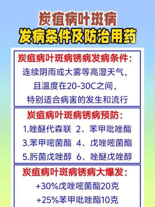 炭疽病叶斑病发病条件及防治用药