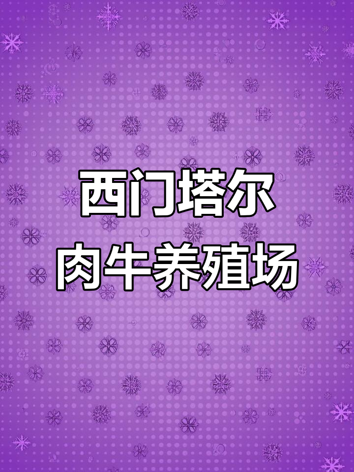 大型西门塔尔肉牛养殖基地,品种优良、生长迅速