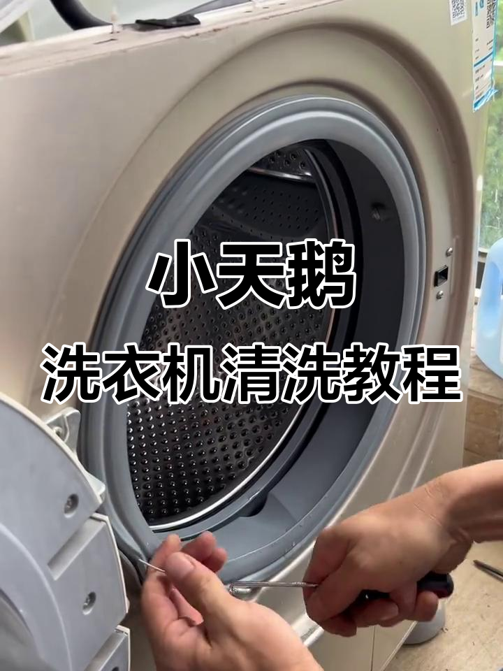 小天鹅滚筒洗衣机全拆清洗,步骤详解轻松搞定