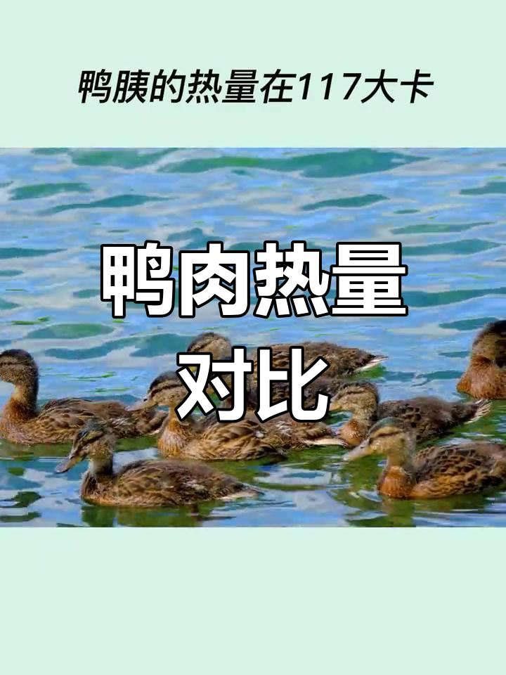鸭肉热量大揭秘,不同部位差异显著