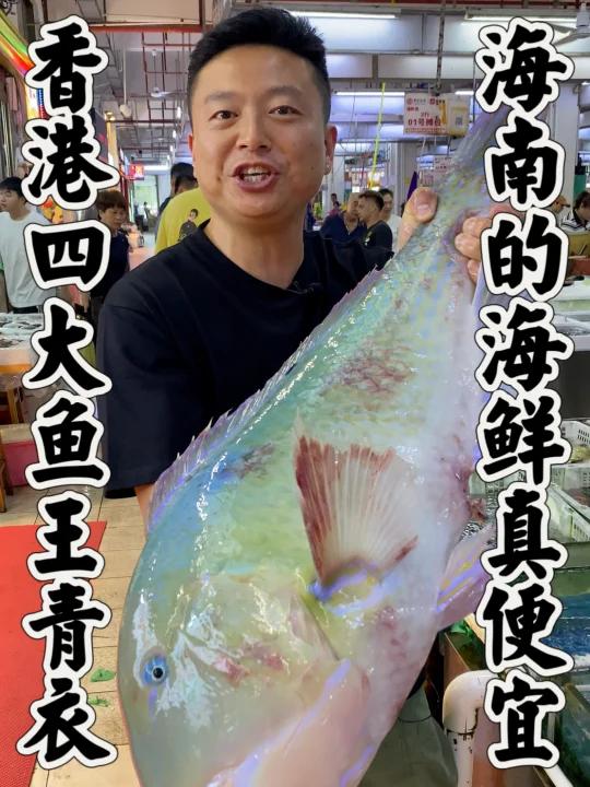 香港四大鱼王正青衣,学名舒氏猪齿鱼!重达22斤,费了老大的劲做了沸腾鱼片!太好吃了!