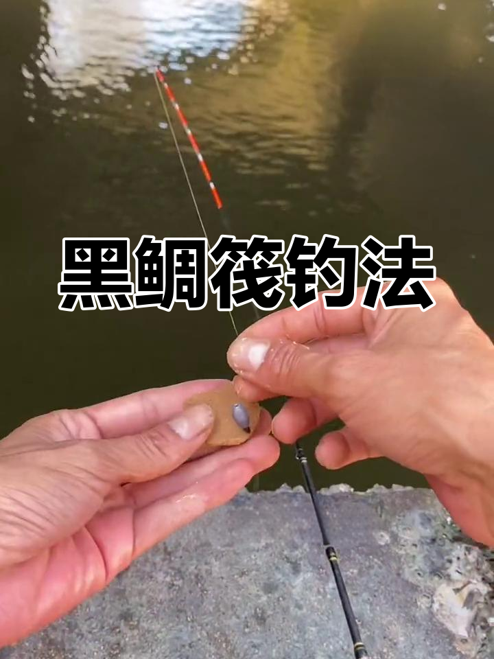 海钓黑鲷技巧:筏钓快速诱鱼
