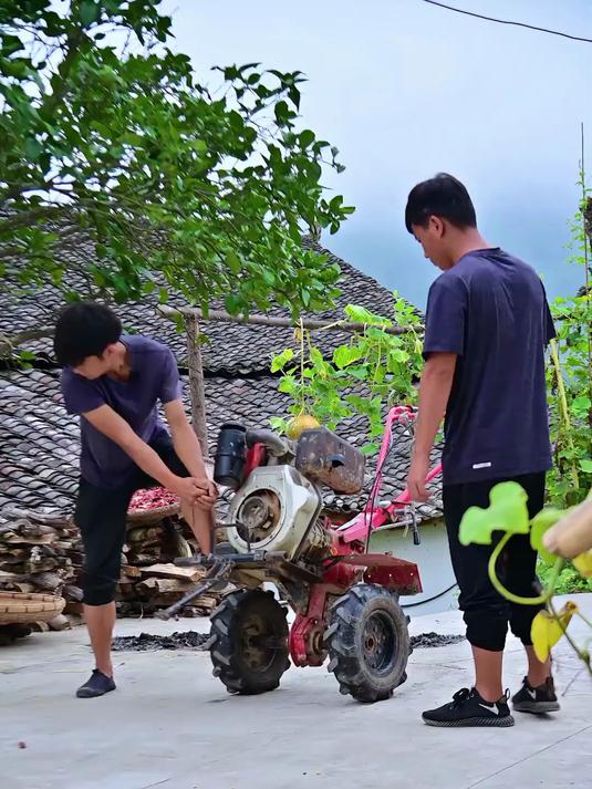白菜、萝卜等,煮火锅可好吃了