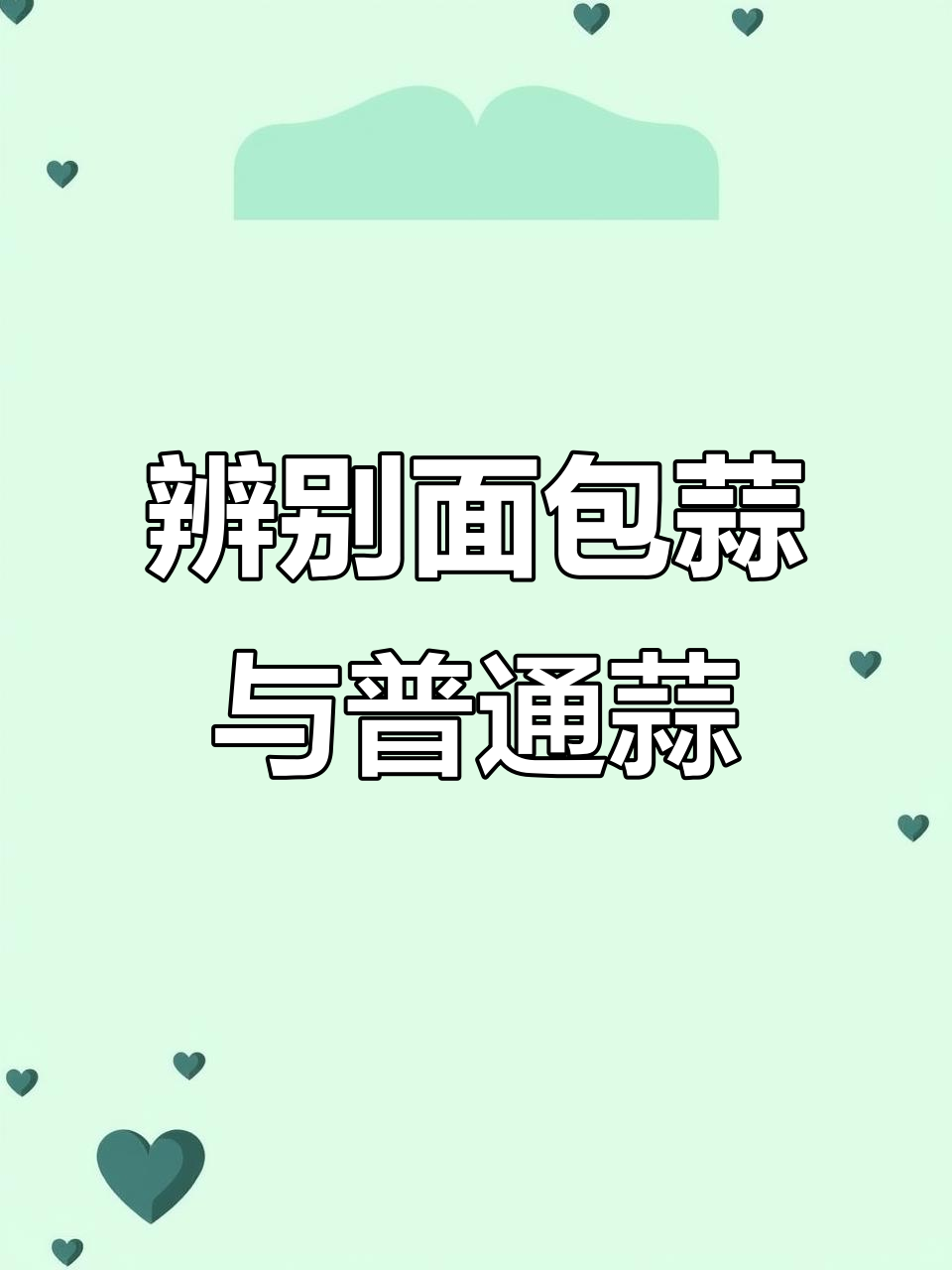 大蒜田管理:如何判断面包蒜与正常大蒜的区别