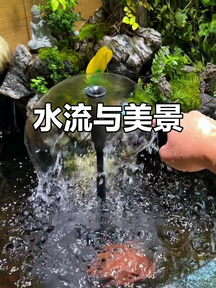 喷泉泵让鱼缸水流动,搭配造景更添生气!