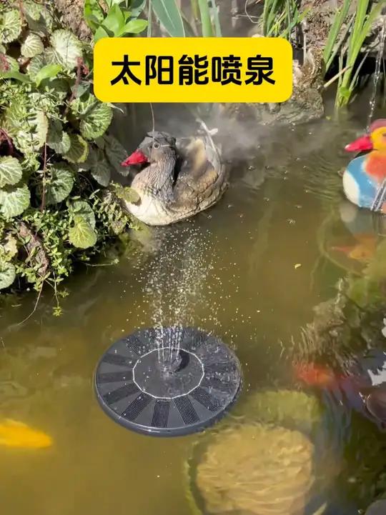 太阳能喷泉，多种喷头效果，水缸，鱼池，户外有水的地方都可以用