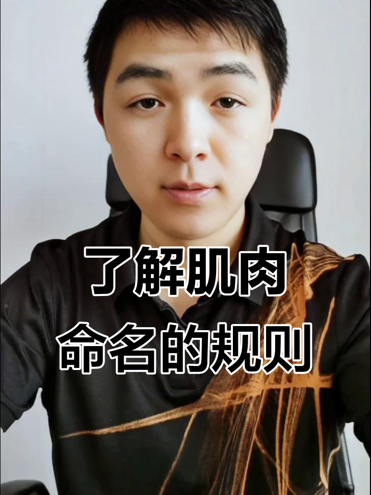 肌肉命名背后的规律，轻松掌握！