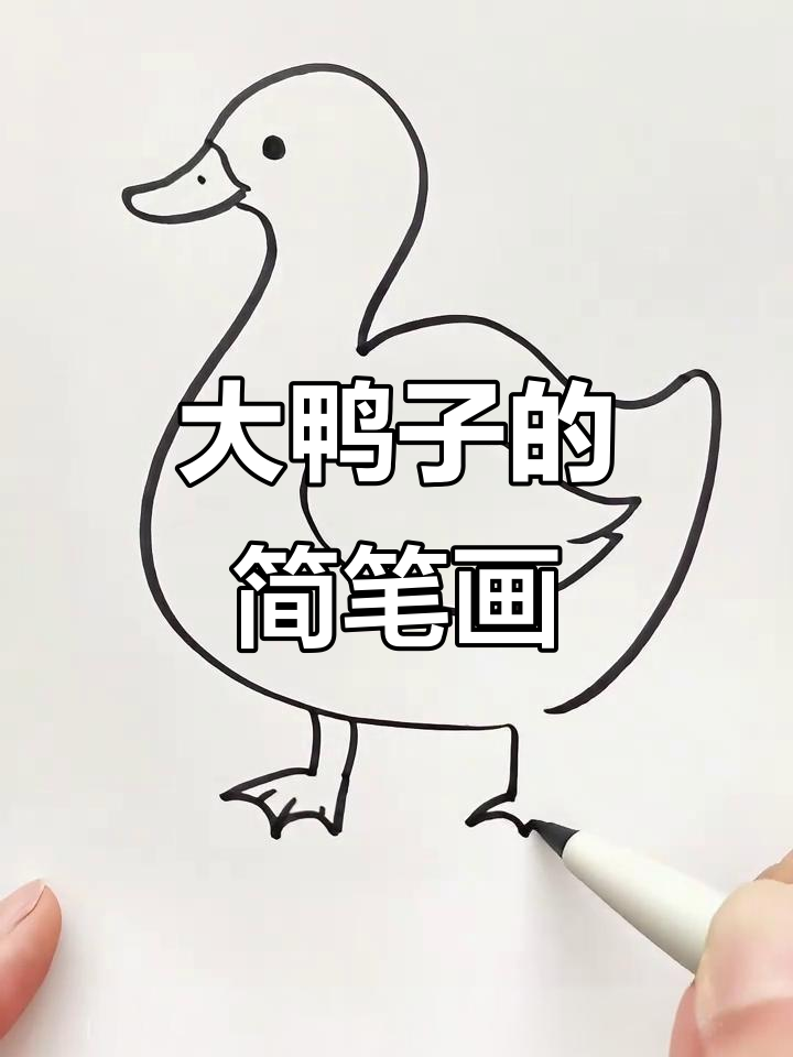 轻松学画可爱大鸭子，步骤简单有趣