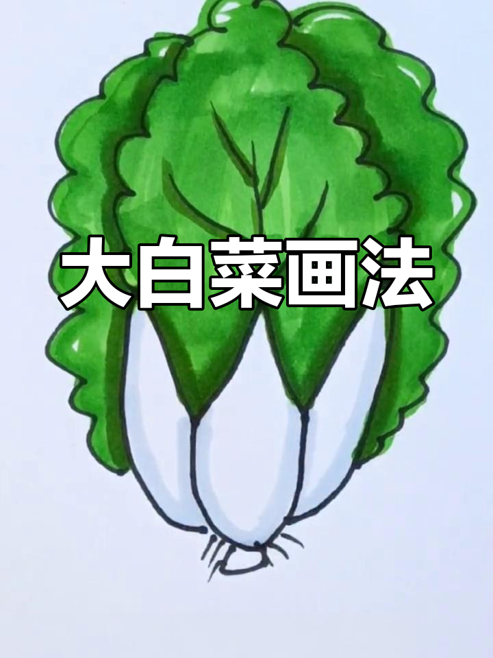 新鲜大白菜的简笔画教程