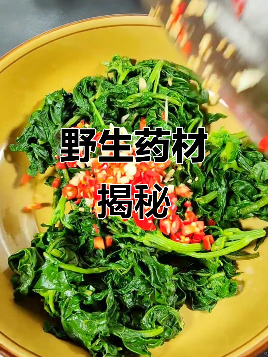 这种野菜遍地都是,竟是珍贵药材!你们知道它叫什么吗?
