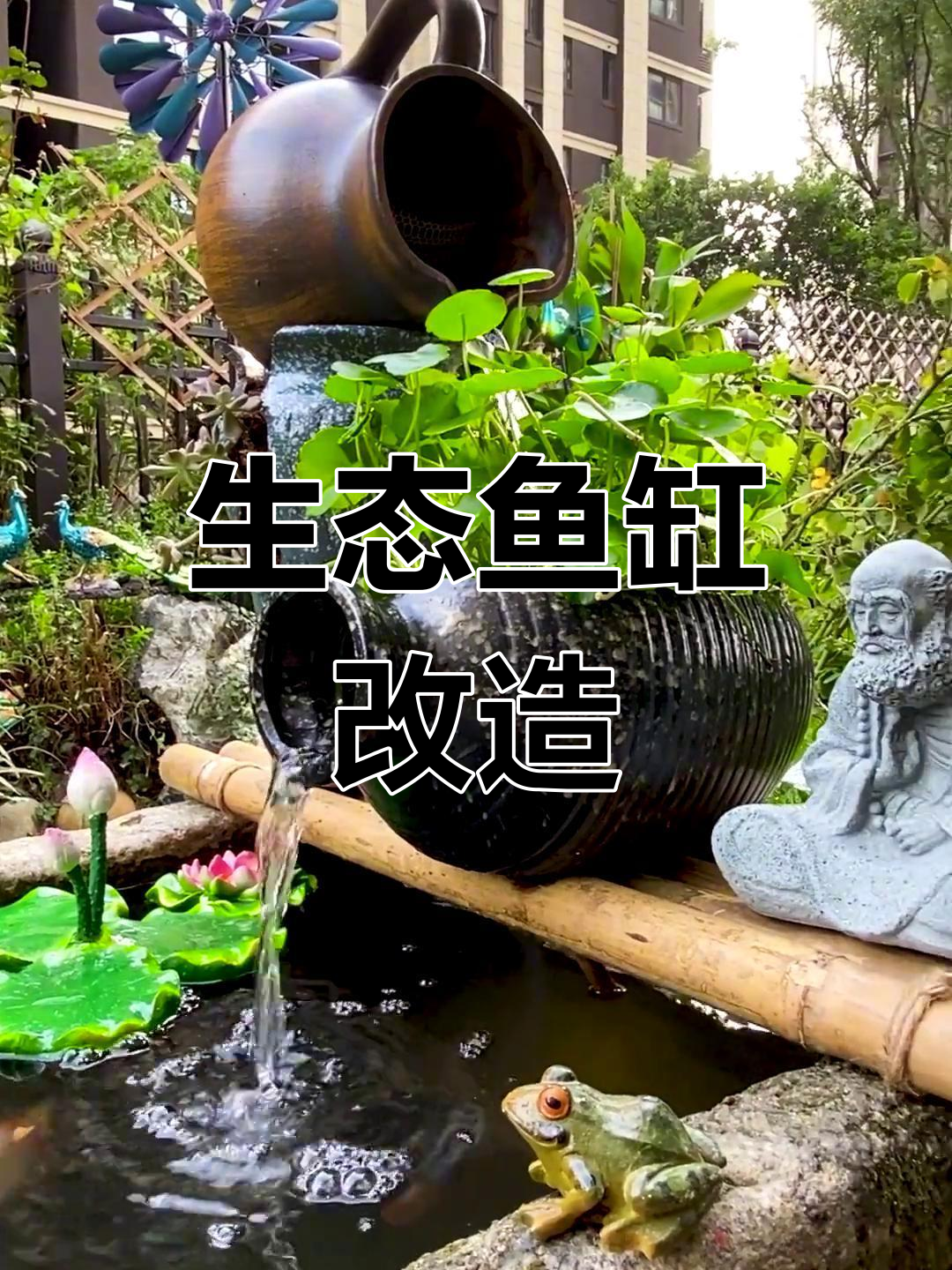 用多肉陶罐打造鱼缸流水,植物过滤让水质更清新
