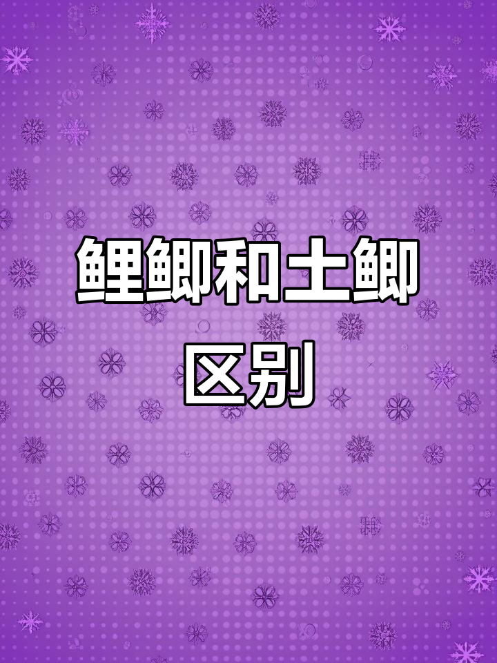 鲤鲫与土鲫鱼的区别,你了解吗?