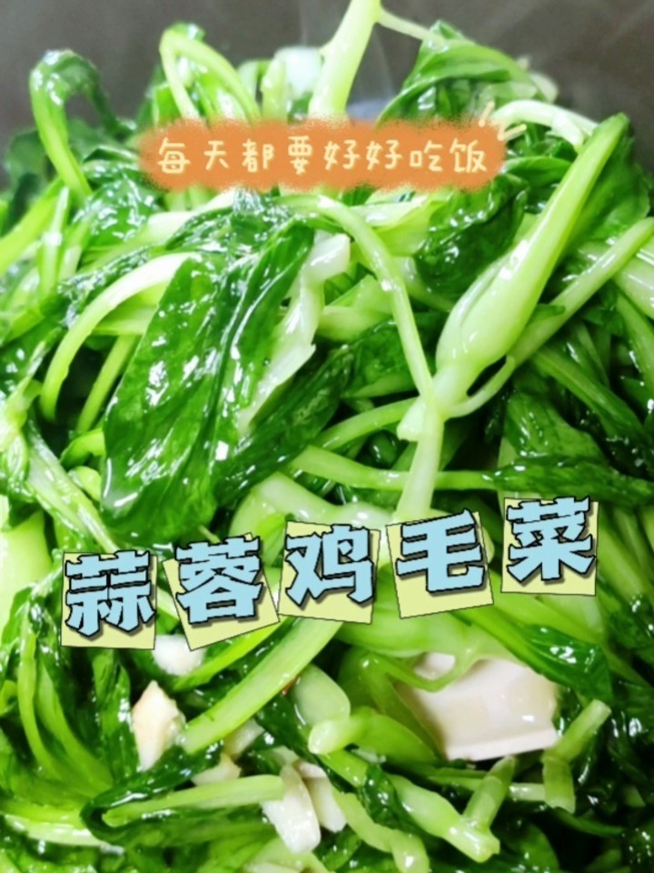 蒜蓉鸡毛菜简单易做一学就会蒜香浓郁色泽碧绿