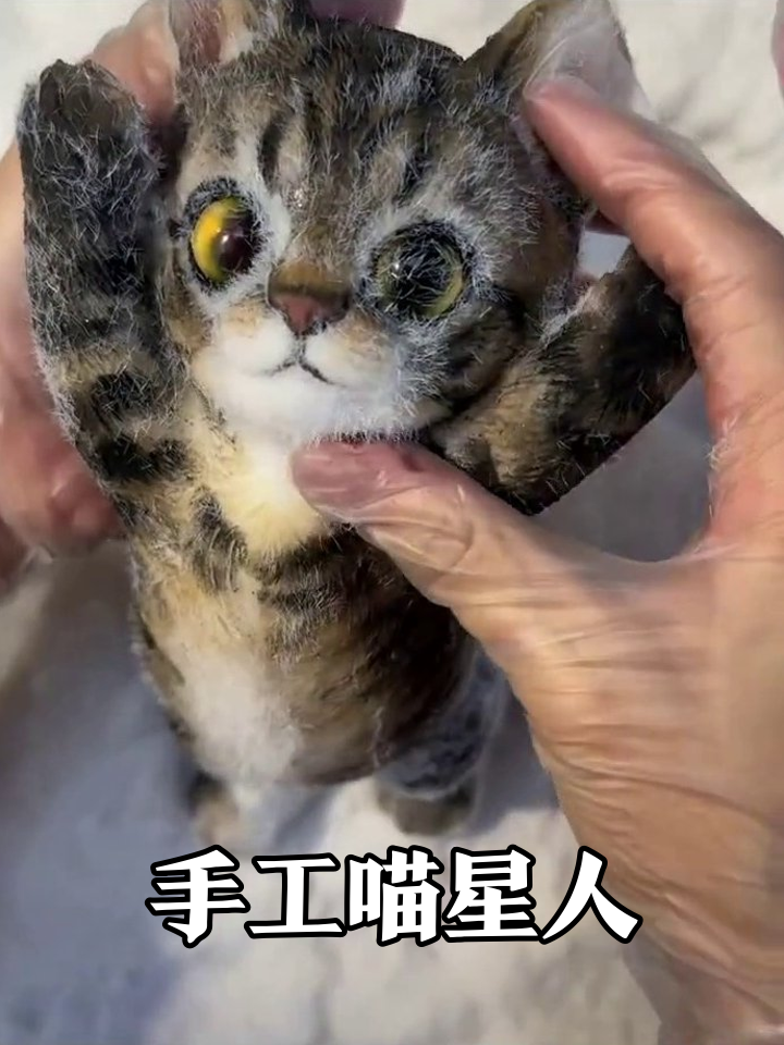 从白面团到表情包！手工大佬神还原虎斑猫