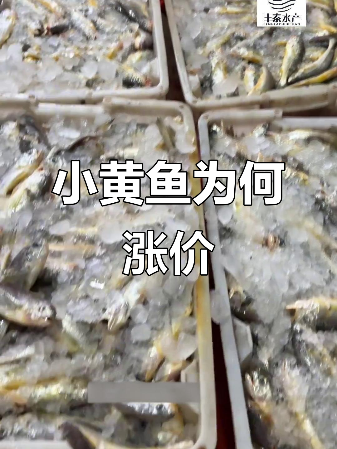 小黄鱼价格暴涨背后原因:产量减少、串串热销推高市场价