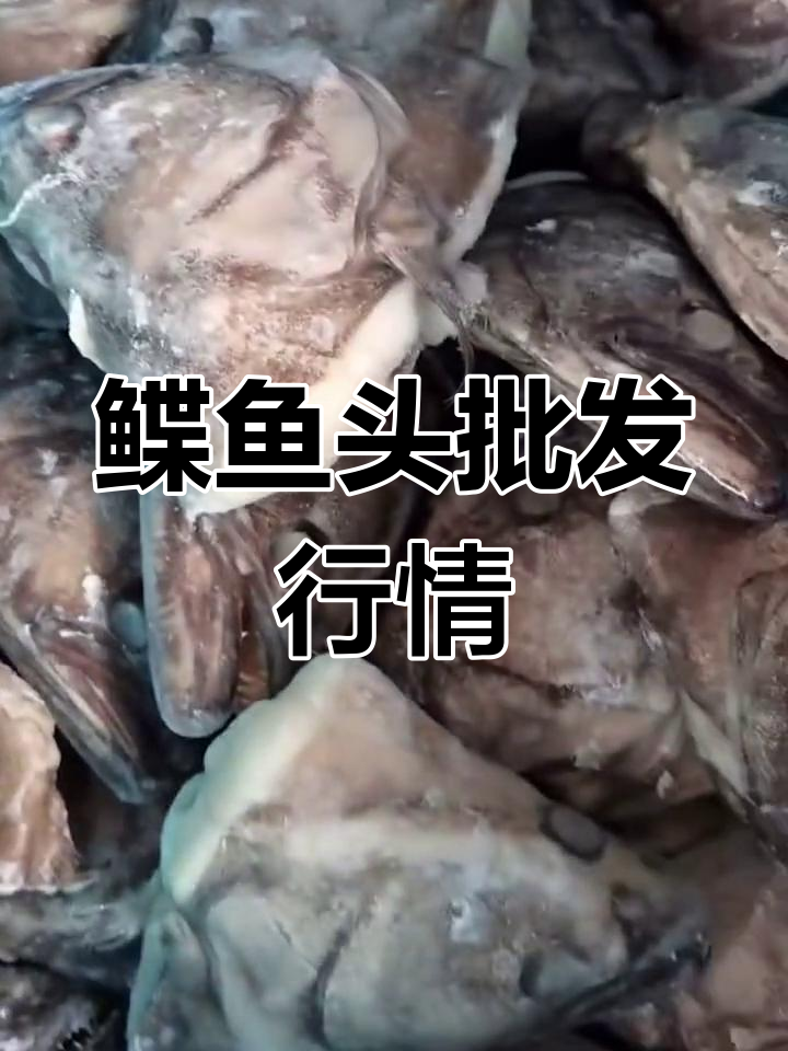 鲽鱼头价格暴涨,库存紧张!苏州新南环桥市场批发